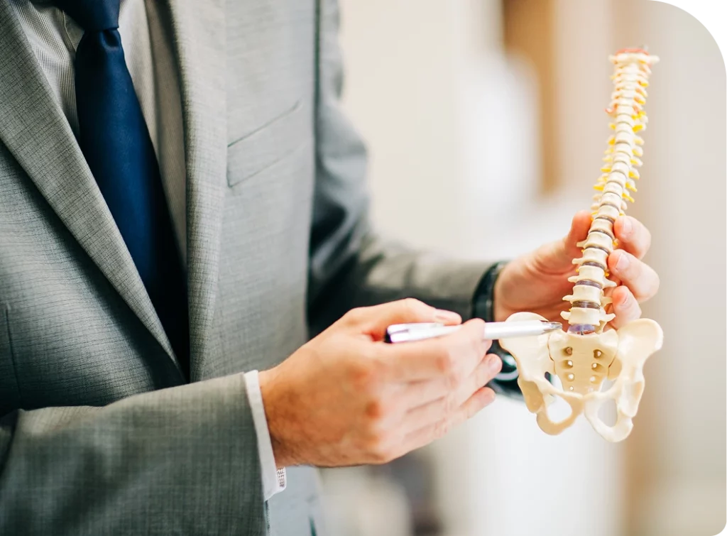 Imagem especialista em coluna em Florianópolis